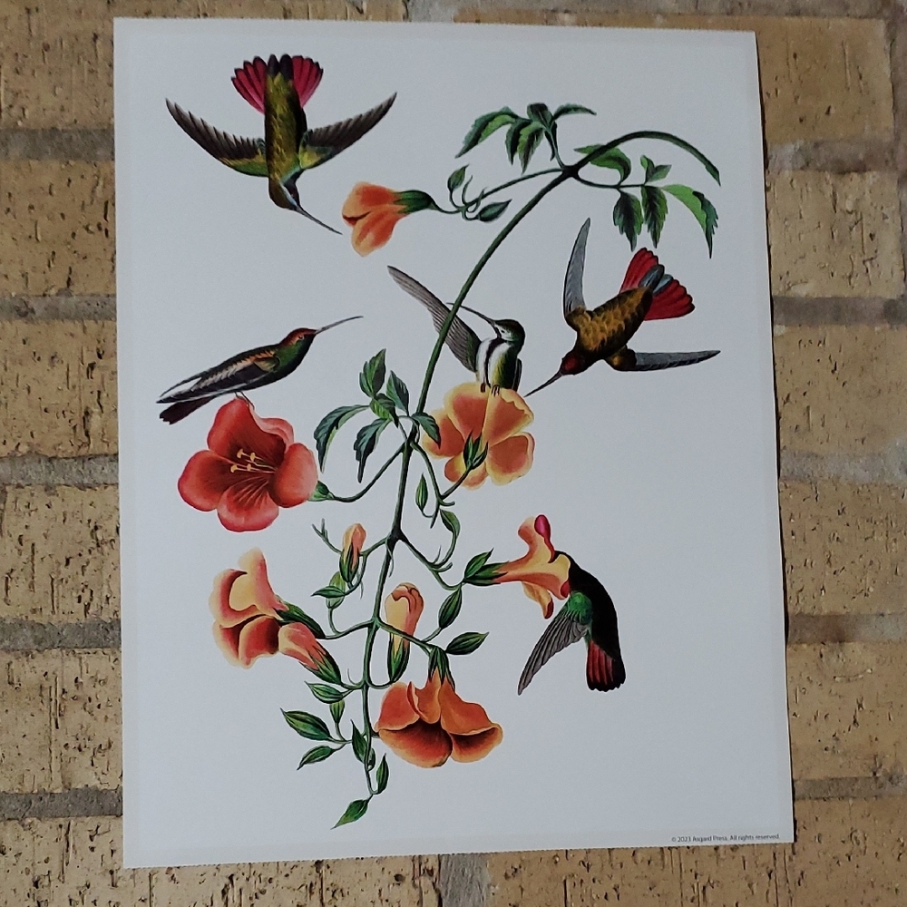 Hummingbird Wall Art with Orange and Green Accents